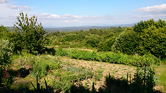 Vistas-desde-pazos.jpg